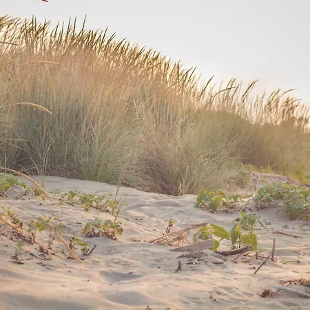Le Dune Hotel
